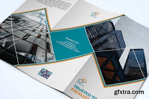 Trifold Business Brochure
