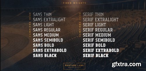 Campione Neue Complete Family