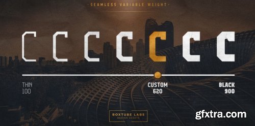 Campione Neue Complete Family