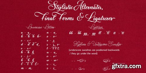 Christmas Wish Complete Family