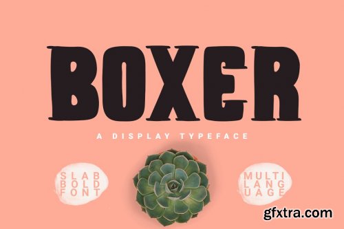 The Bold Font Bundle