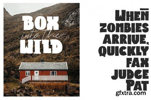 The Bold Font Bundle