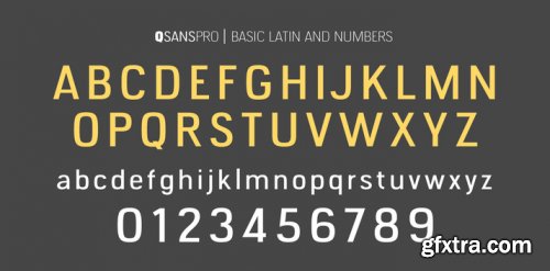 QSansPro Complete Family