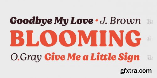 Moranga Complete Family