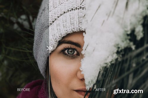 CreativeMarket - Moody WINTER MOOD Lightroom Presets 4284060