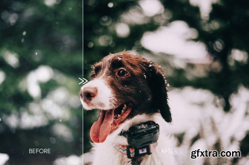 CreativeMarket - Moody WINTER MOOD Lightroom Presets 4284060