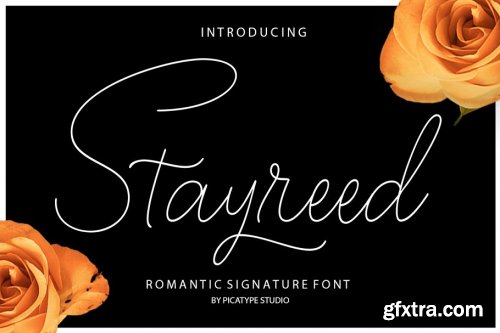 Excellent Font Bundle