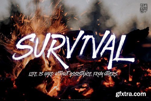 CM - STRONGHOLD Brush font 4456701 CM - STRONGHOLD Brush font 4456701