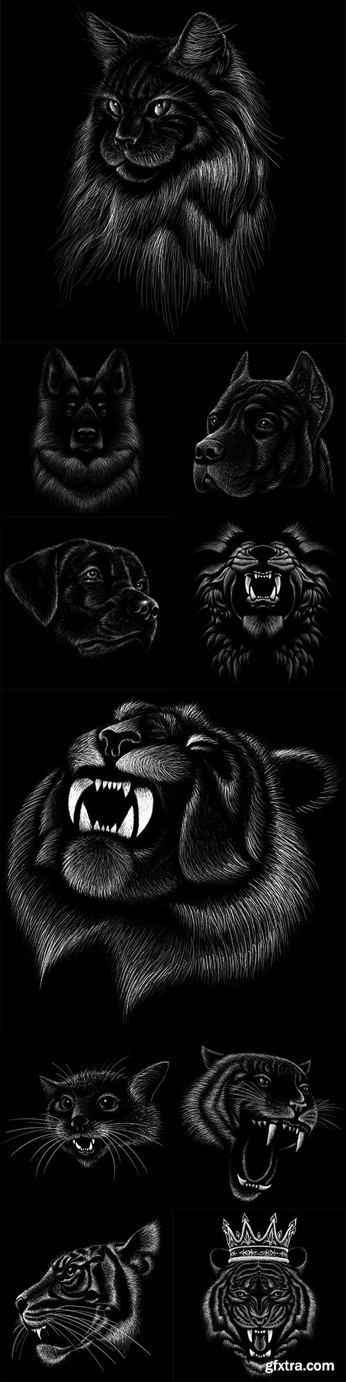 Animal drawing with chalk on black background