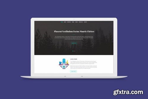 70 GDPR Icons - Orchid Series