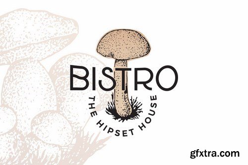 Vintage Botanical Vector