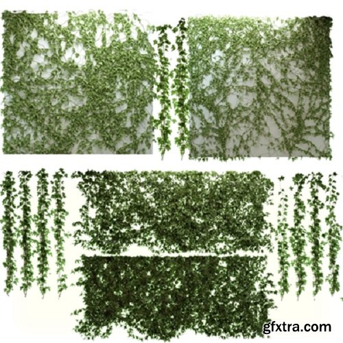 Hanging Vines / Plants