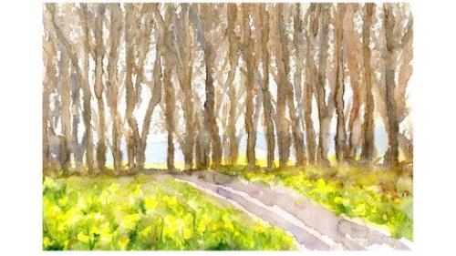 Udemy - How to paint my 