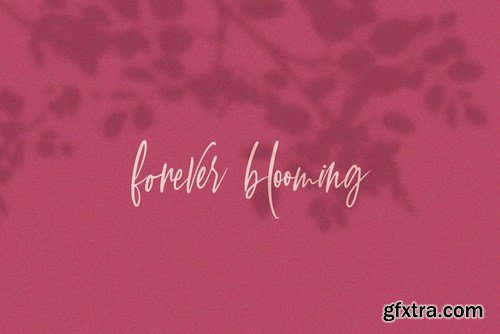 CM - Sullington Script Font 4523111