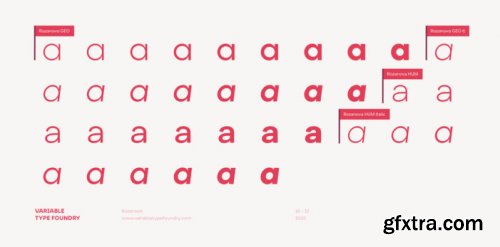 Rozanova Complete Family