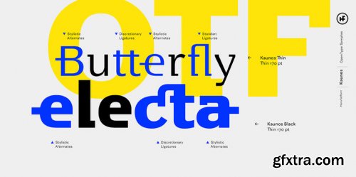 Kaunos Complete Family