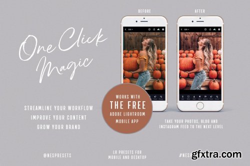 CreativeMarket - Lightroom Presets Autumn Leaves 4412823