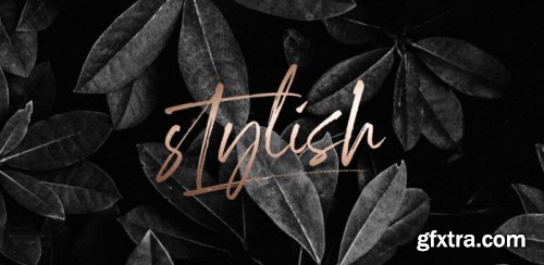 Marquette Complete Family