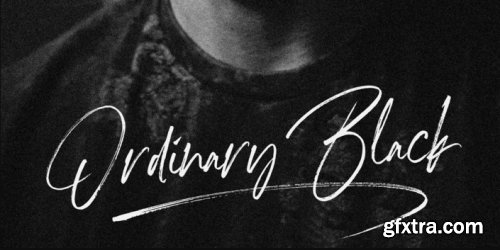 Marquette Complete Family