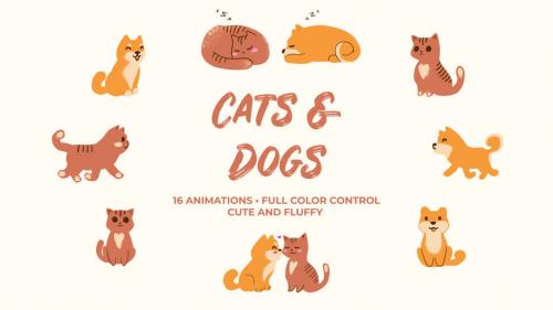 Cats and Dogs. Hand Drawn Pack - 12685091