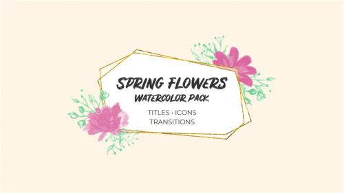 Spring Flowers. Watercolor Pack - 12843588