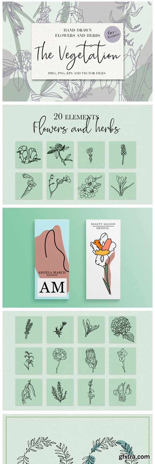 The Vegetation 2758472 The Vegetation 2758472