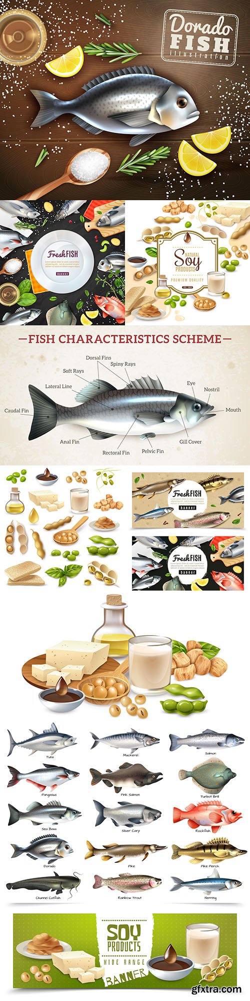 Fresh fish and soy products realistic illustrations