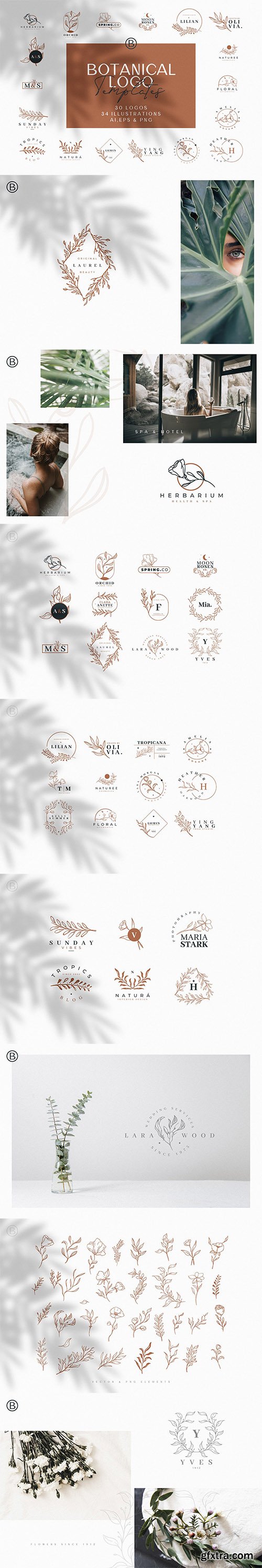 Hand Drawn Botanical Logos and Illustrations Hand Drawn Botanical Logos and Illustrations