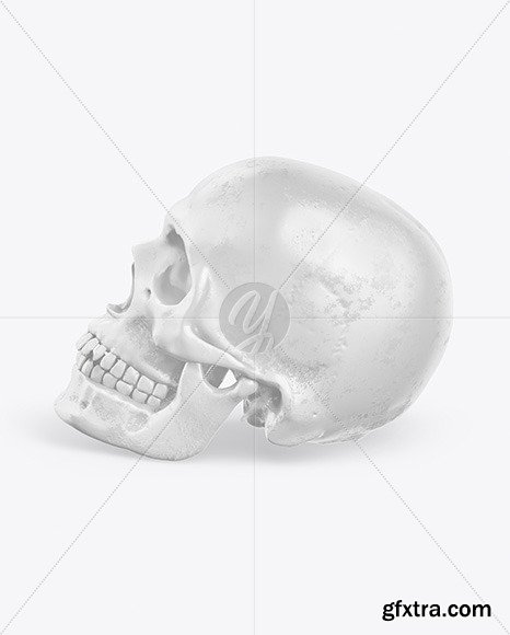 Skull Mockup 55286