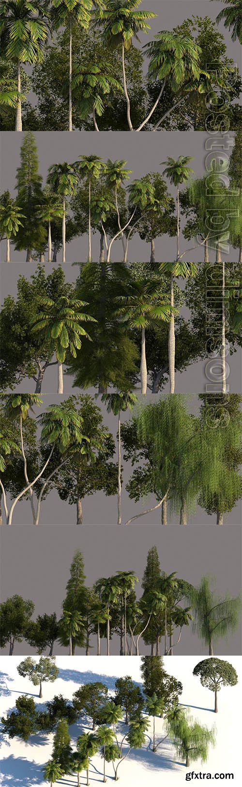 Cgtrader - Tree Pack 01 3D model