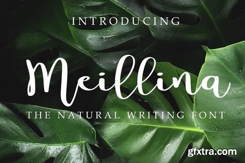 Meillina Natural Font Meillina Natural Font