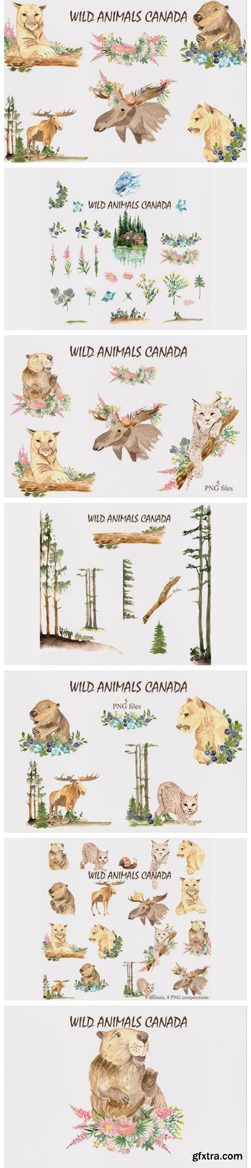 Wild Animals of Canada 2980690 Wild Animals of Canada 2980690