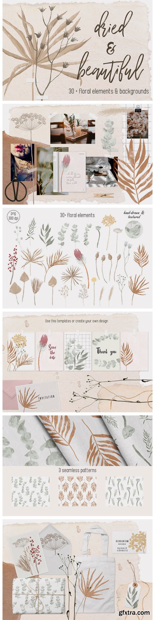 Dried Flowers and Backgrounds 2980370