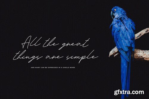 Madnes Signature Font