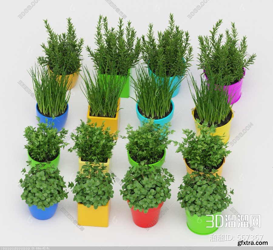 Collection Of Plants 188 GFxtra