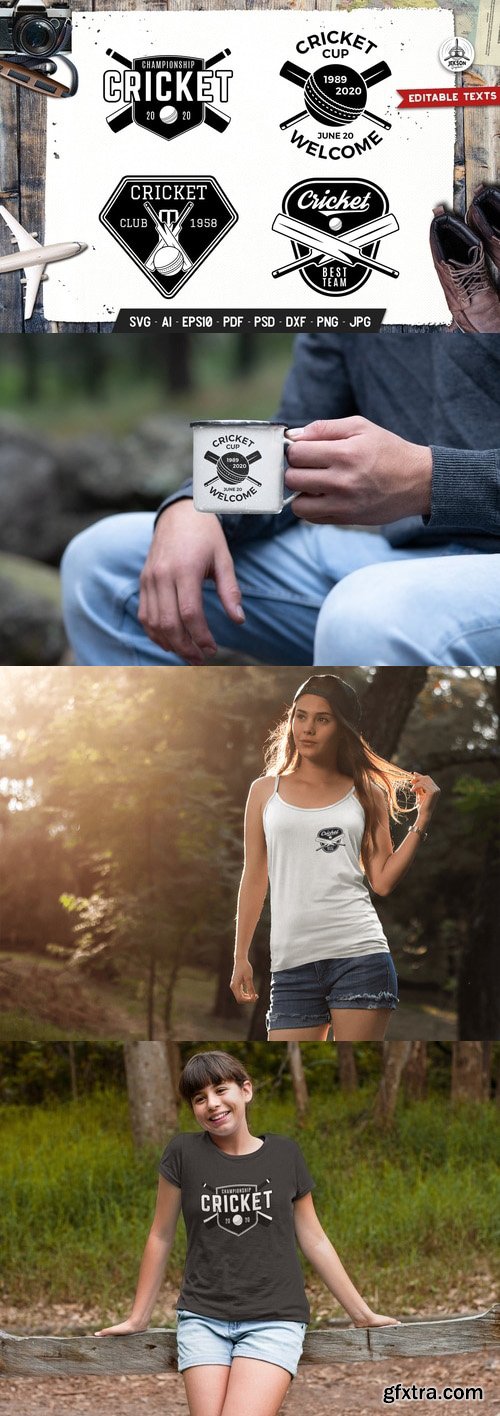 Cricket Logos Templates Set Vector Sport Badges