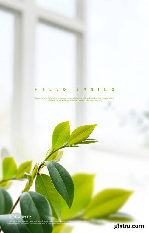 beautiful-spring-flowers-background_125452-1629 beautiful-spring-flowers-background_125452-1629