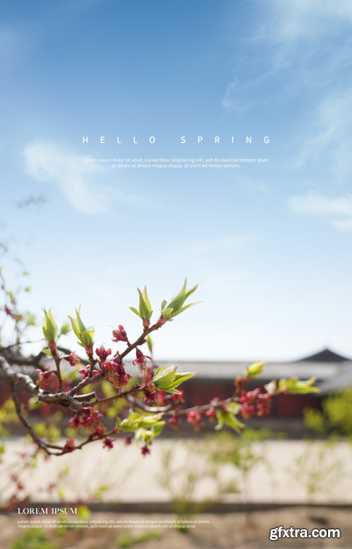 beautiful-spring-flowers-background_125452-1634 beautiful-spring-flowers-background_125452-1634