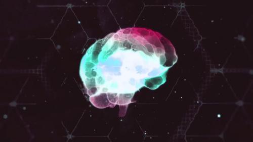 Smart Brain Logo Reveal - 13351559