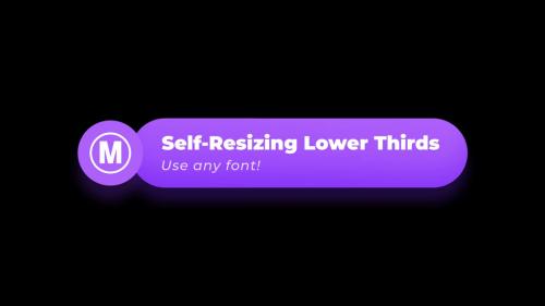 Lower Thirds Social Media (Self Resizing) - 13975342