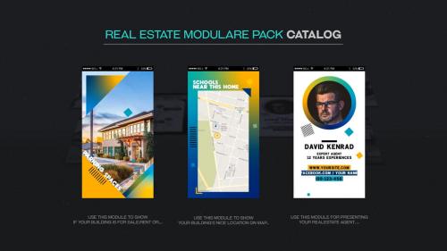Neo Real Estate Package - 12982196