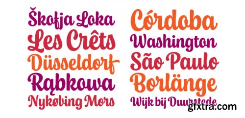 Chonky Complete Family