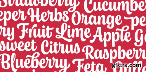 Chonky Complete Family