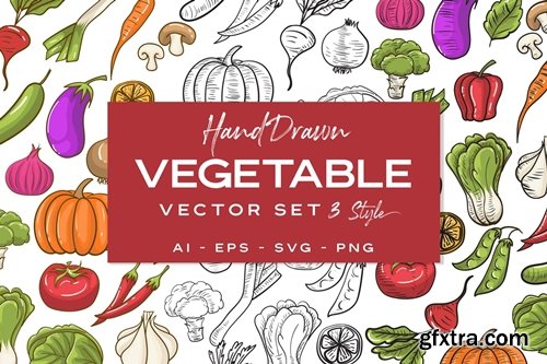 Vegetable Handdrawn