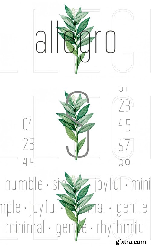 Allegro Sans Serif Font Allegro Sans Serif Font