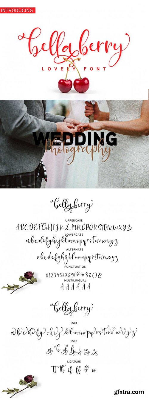 BellaBerry Script Font BellaBerry Script Font