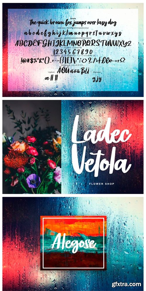 Noifale Font Noifale Font