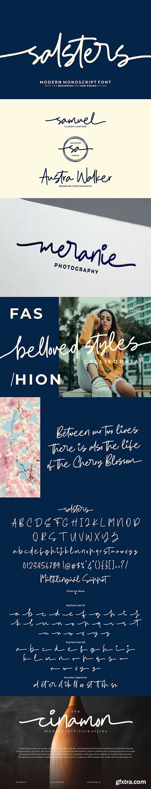 Salsters Signature Font Salsters Signature Font