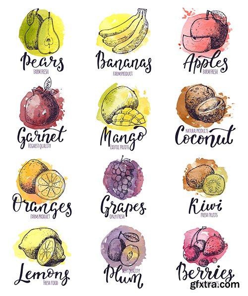 Fruits Watercolor Logo with Lettering Illustration Fruits Watercolor Logo with Lettering Illustration