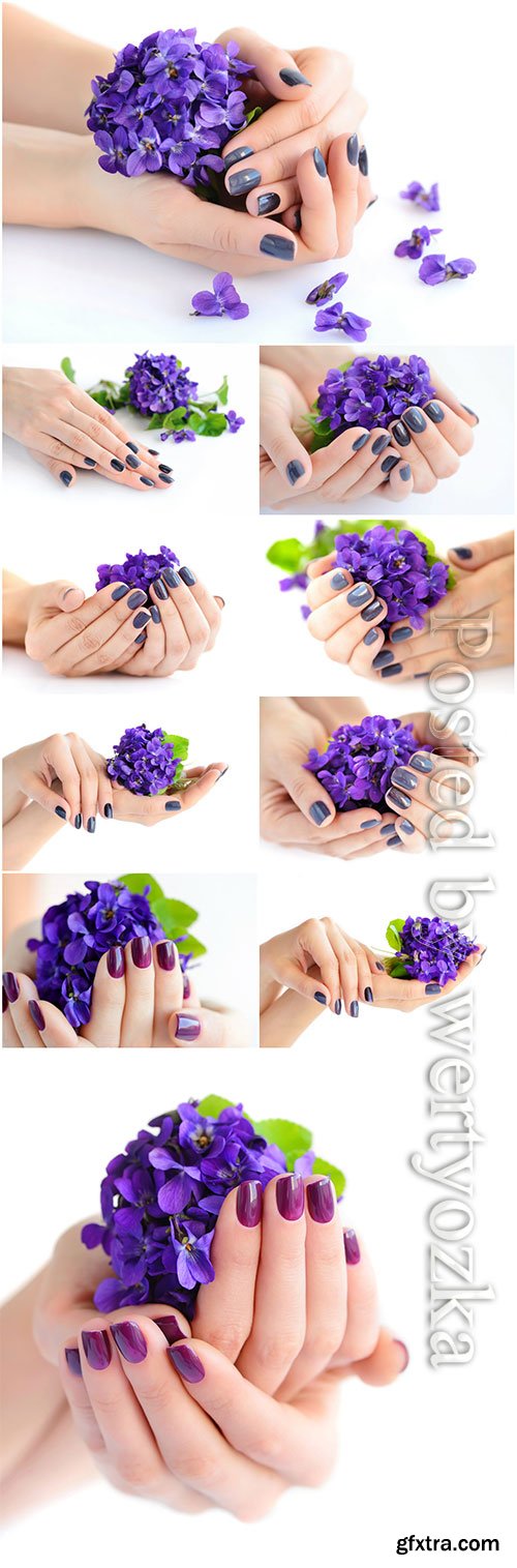 Manicure, female hands with flowers beautiful stock photo